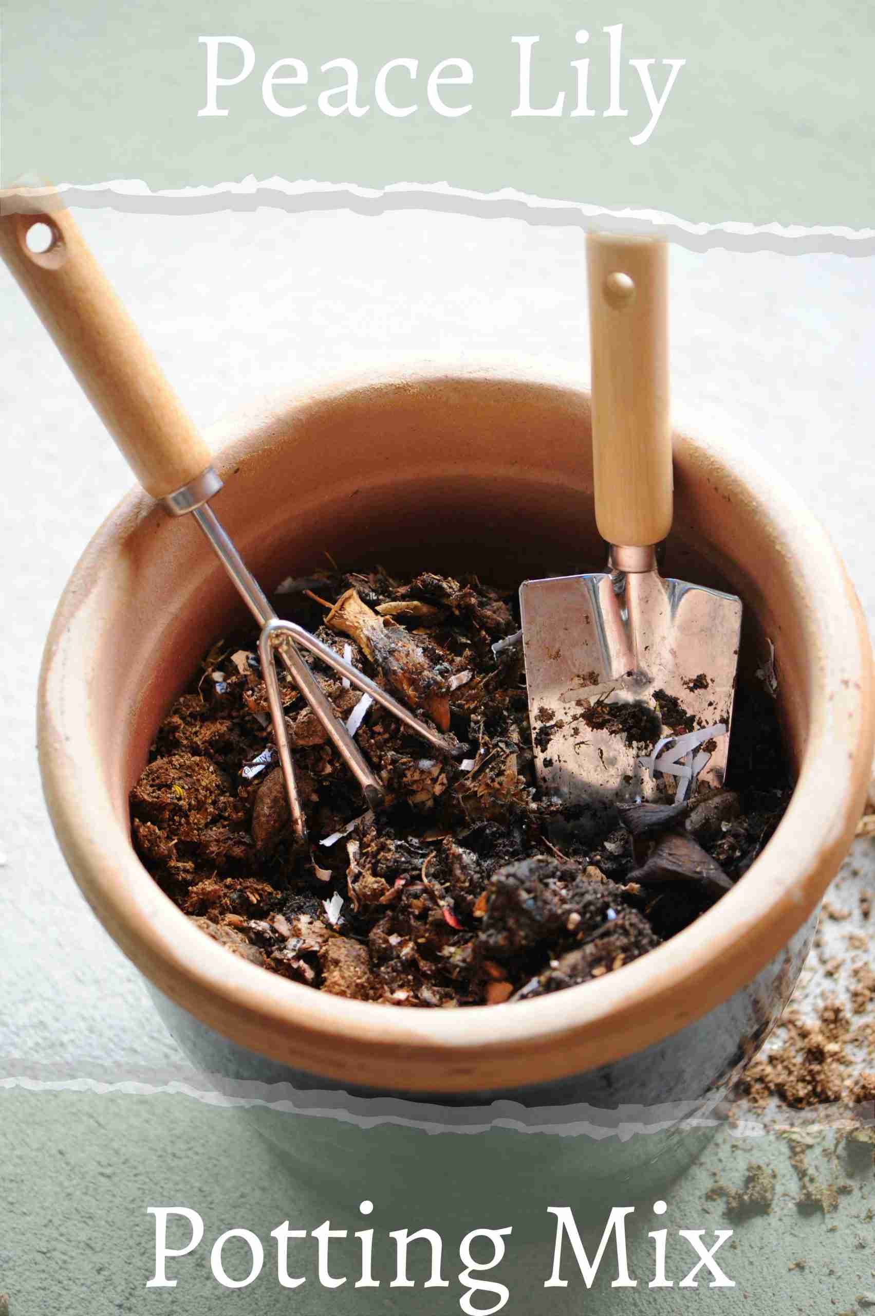 Peace Lily Potting Mix Perfect Peace Lily